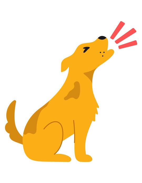 Header image depicting a dog that appears anxious and distressed, emphasizing the topic of recognizing signs of separation anxiety in dogs.
